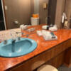 神戸チャペルスイート(神戸市中央区/ラブホテル)の写真『305号室　洗面台』by INA69