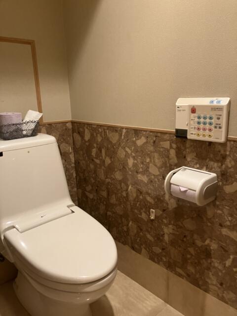 ホテル アシーナ(千葉市花見川区/ラブホテル)の写真『407 お手洗い』by festa9