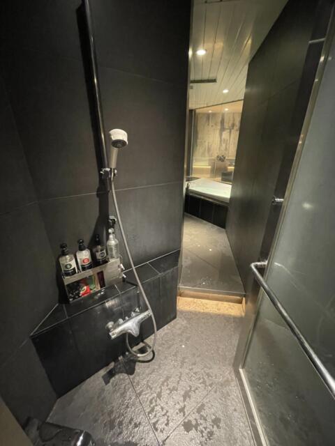 HOTEL SENSE(センス)(新宿区/ラブホテル)の写真『207号室浴室シャワースペース』by ぴろりん
