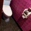 AUGUSTA DUO(アウグスタ デュオ)(台東区/ラブホテル)の写真『11号室 トイレ』by Scofield