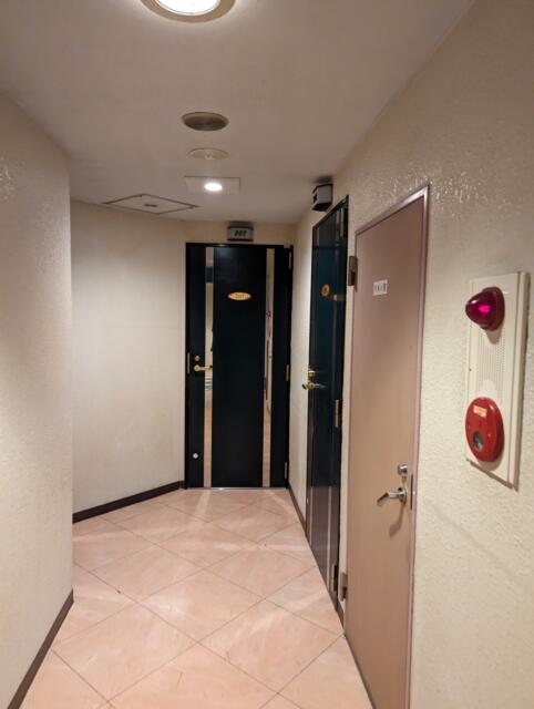 HOTEL アムール(台東区/ラブホテル)の写真『207号室までの廊下』by ひこべえ