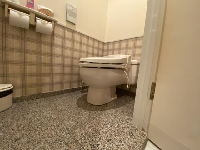 HOTEL STELLATE(ステラート)(新宿区/ラブホテル)の写真『401号室、トイレ』by トマトなす