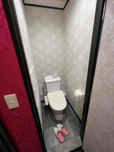 HOTEL Diana (ダイアナ)(台東区/ラブホテル)の写真『336号室　トイレ』by 体系がたこ焼き