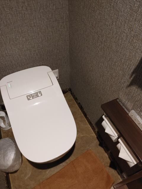 神田レンタルルームMOND（モンド）(千代田区/ラブホテル)の写真『共用トイレ』by ましりと