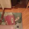 HOTEL TIFFARD（ティファード）(新宿区/ラブホテル)の写真『307号室、入口。床が鏡でスカートの中が見える(^^;』by ビデ三郎