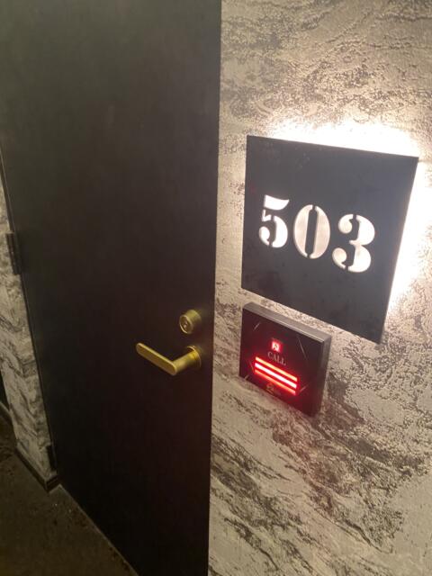 Hotel Queen(クィーン)(豊島区/ラブホテル)の写真『503号室　玄関ドア』by たんげ8008