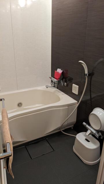 ホテル ピュア・アジアン(墨田区/ラブホテル)の写真『402号室、浴室』by 爽やかエロリーマン