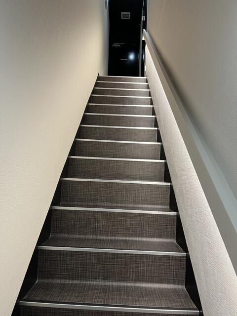 HOTEL AMAN(アマン)(浜松市/ラブホテル)の写真『209号室　部屋への階段』by ま〜も〜る〜