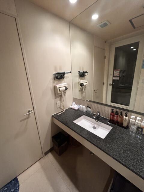 THE ATTA(豊島区/ラブホテル)の写真『301号室洗面台』by 無法松