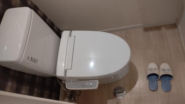 ホテル COLORE（コローレ）(墨田区/ラブホテル)の写真『603号室、トイレ』by Sparkle
