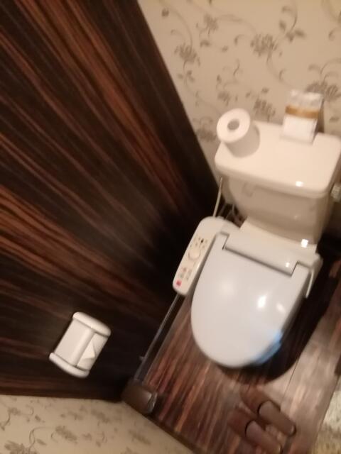 HOTEL ZEROⅡ YOKOHAMA(横浜市神奈川区/ラブホテル)の写真『305号室、トイレです。(23,12)』by キジ