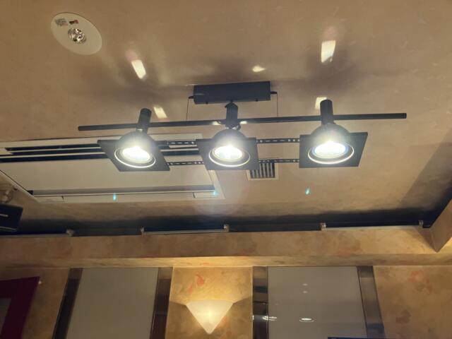 HOTEL L&L（エルアンドエル）(札幌市中央区/ラブホテル)の写真『203号室　照明（2）』by サトナカ