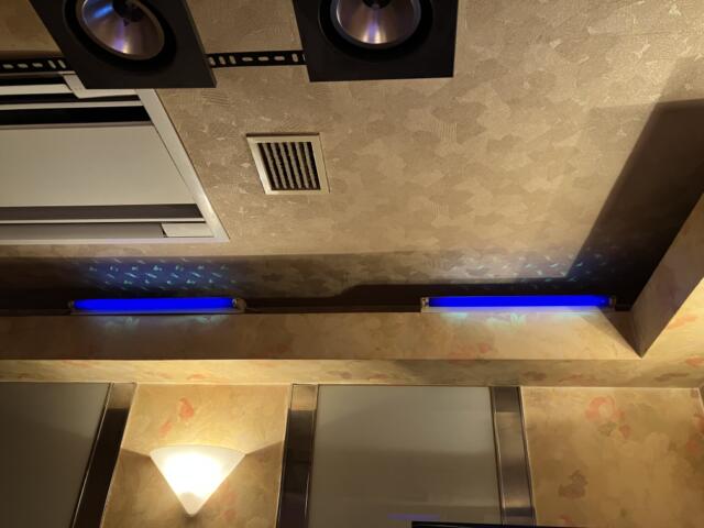 HOTEL L&L（エルアンドエル）(札幌市中央区/ラブホテル)の写真『203号室　照明（1）』by サトナカ