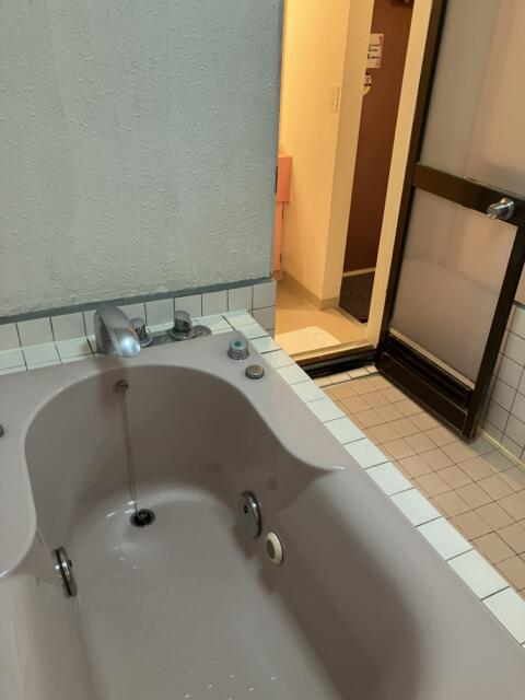 HOTEL L&L（エルアンドエル）(札幌市中央区/ラブホテル)の写真『203号室　浴室（３）』by サトナカ