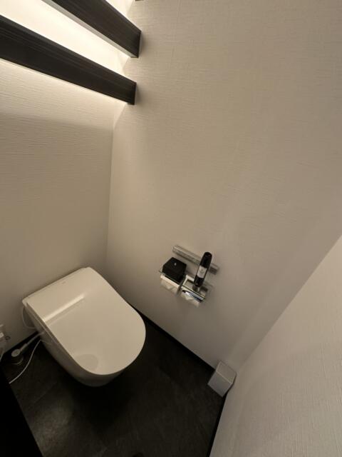 HOTEL P’s resort(豊島区/ラブホテル)の写真『901号室のトイレ』by miffy.GTI