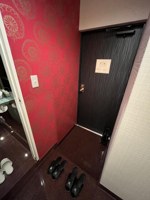 HOTEL Perrier(ペリエ)(新宿区/ラブホテル)の写真『203号室　入口(室内側から。左はトイレ)』by ま〜も〜る〜