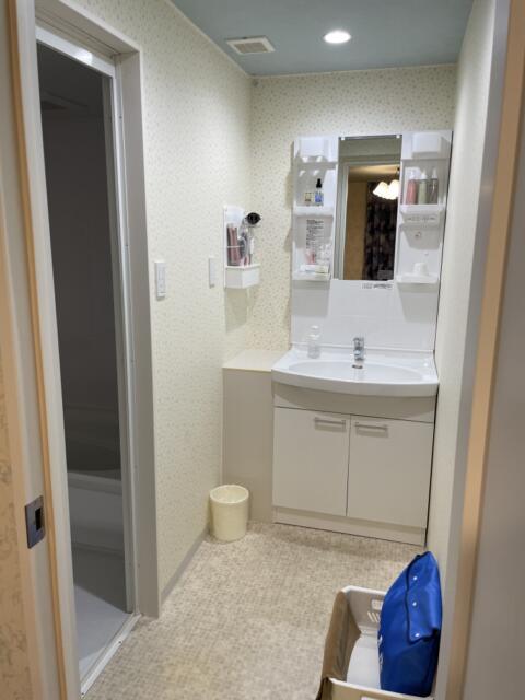 ホテルシティ(立川市/ラブホテル)の写真『305号室、洗面所』by かとう茨城47