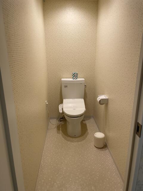 ホテルシティ(立川市/ラブホテル)の写真『305号室、トイレ』by かとう茨城47