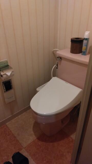 WILL加平(かへい)(足立区/ラブホテル)の写真『211号室－トイレ』by _Yama