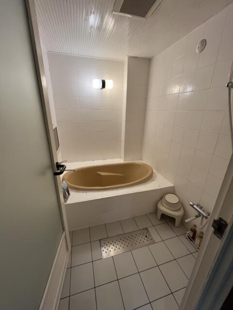 CAHAYA(チャハヤ)(稲敷市/ラブホテル)の写真『317号室　浴室』by ま〜も〜る〜