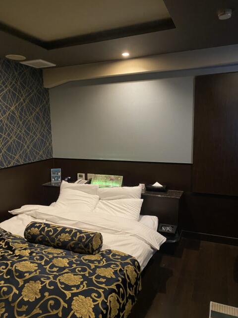 HOTEL ZEBRA（ゼブラ)(豊島区/ラブホテル)の写真『301号室(右手前から奥)』by こねほ