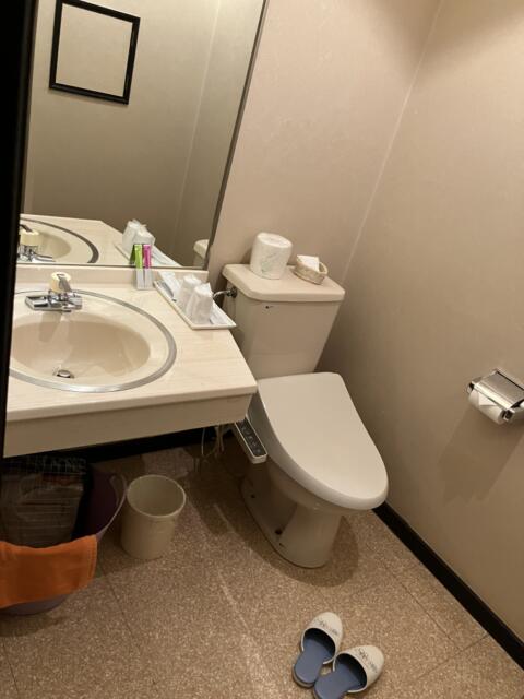 ホテルLALA33(豊島区/ラブホテル)の写真『212号室　洗面所・トイレ』by サトナカ
