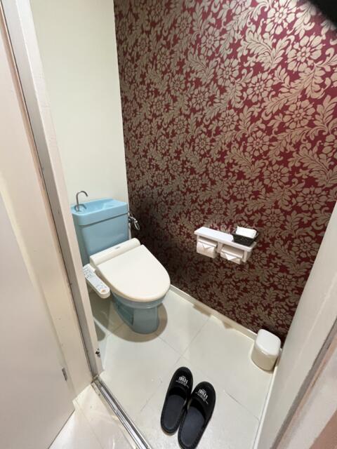 ホテル エーゲ海(静岡市駿河区/ラブホテル)の写真『212号室　トイレ』by ま〜も〜る〜