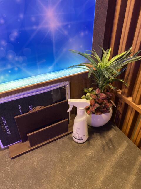 ホテル万華【BAN-KA】(大田区/ラブホテル)の写真『205号室(観葉植物)』by こねほ