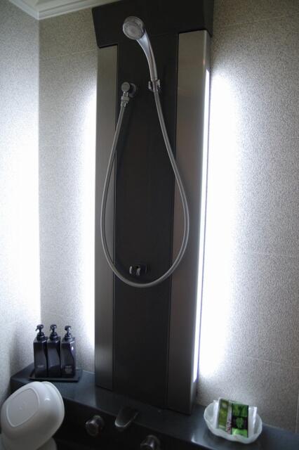 N HOTEL(千葉市中央区/ラブホテル)の写真『402号室　シャワー』by マーケンワン
