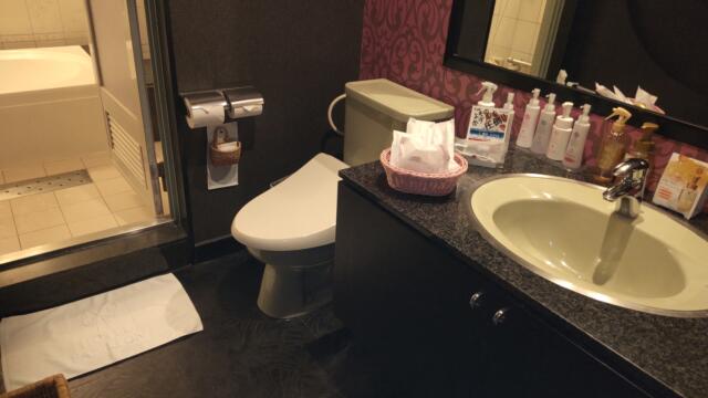 Hotel Papillon（パピヨン)(行田市/ラブホテル)の写真『２０３号室　洗面所（トイレは同室）』by 八つの大罪