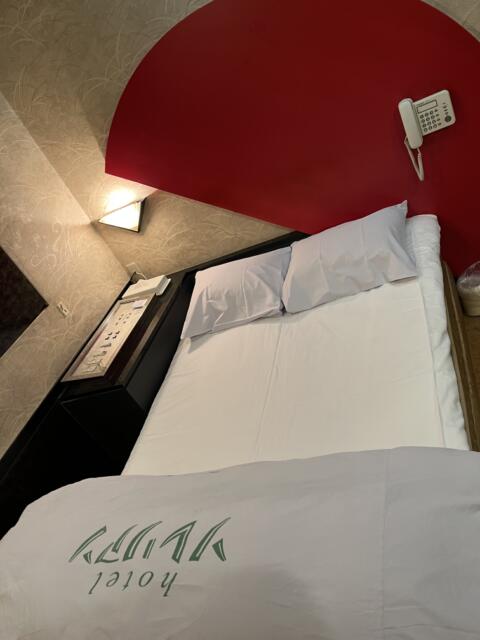 ホテル ソレリアン(神戸市中央区/ラブホテル)の写真『106号室　ベッド②』by 神戸のりんごちゃん
