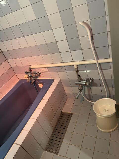 ホテル ソレリアン(神戸市中央区/ラブホテル)の写真『106号室　お風呂②』by 神戸のりんごちゃん