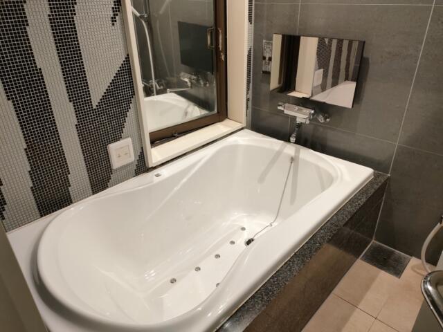 ホテル エリアス(豊島区/ラブホテル)の写真『浴室テレビ付きのジャグジーバスタブ』by ゆかるん