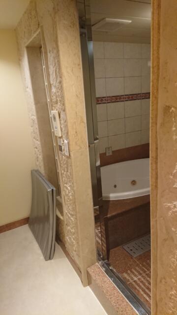 HOTEL RAY FIELD(墨田区/ラブホテル)の写真『402号室、風呂場入口。左にある銀色マットでマットプレイできます』by ビデ三郎