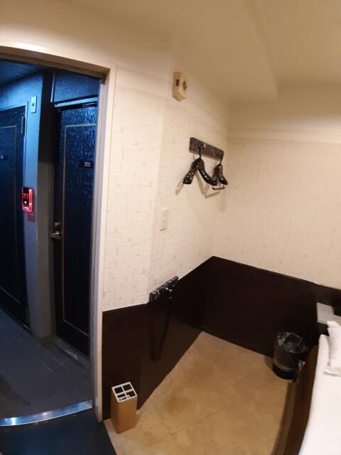 池袋セントラルホテル(豊島区/ラブホテル)の写真『２１３号室　全体　入口側』by 上戸 信二