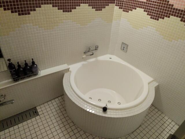 ホテルCoCo（ココ）(福井市/ラブホテル)の写真『209号室 浴室』by nognog