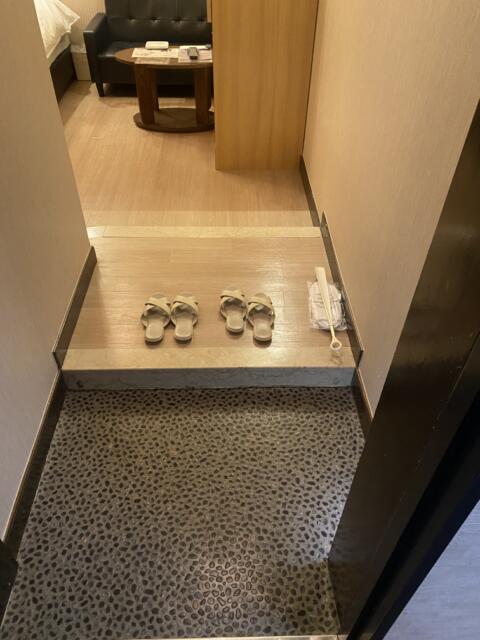 Hotel White City 23(渋谷区/ラブホテル)の写真『301号室(玄関から)』by こねほ