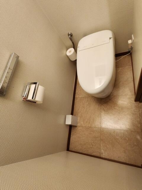 トキワ(豊島区/ラブホテル)の写真『201号室、トイレ』by イシバシ
