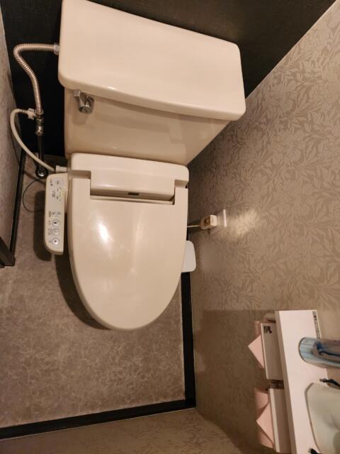 モンリーヴ(川口市/ラブホテル)の写真『501号室、トイレ』by イシバシ
