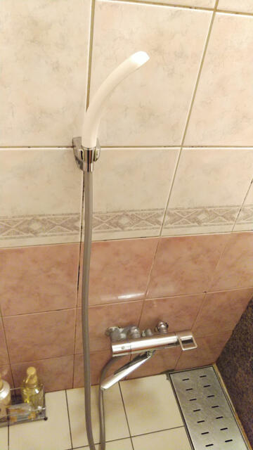ホテル ルポ(墨田区/ラブホテル)の写真『504号室 バスルーム洗い場（１）』by 午前３時のティッシュタイム