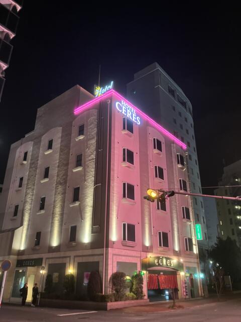 ホテル セレス(熊本市/ラブホテル)の写真『夜の外観③』by hireidenton
