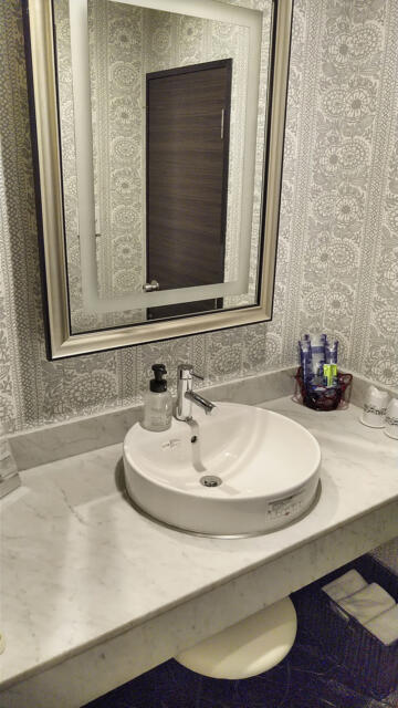 HOTEL LOHAS(墨田区/ラブホテル)の写真『303号室 洗面台』by 午前３時のティッシュタイム