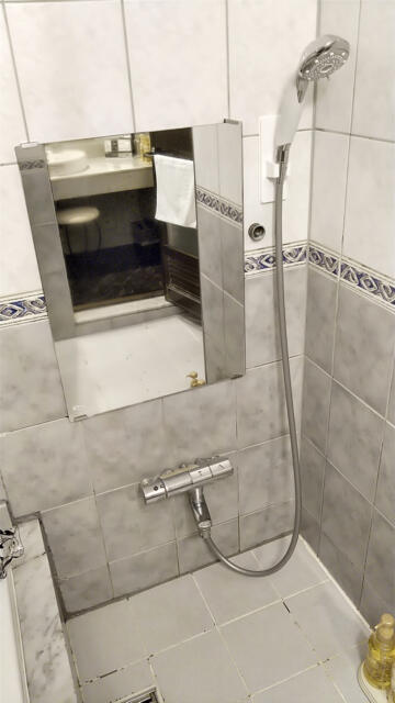 HOTEL LOHAS(墨田区/ラブホテル)の写真『303号室 バスルーム洗い場（１）』by 午前３時のティッシュタイム