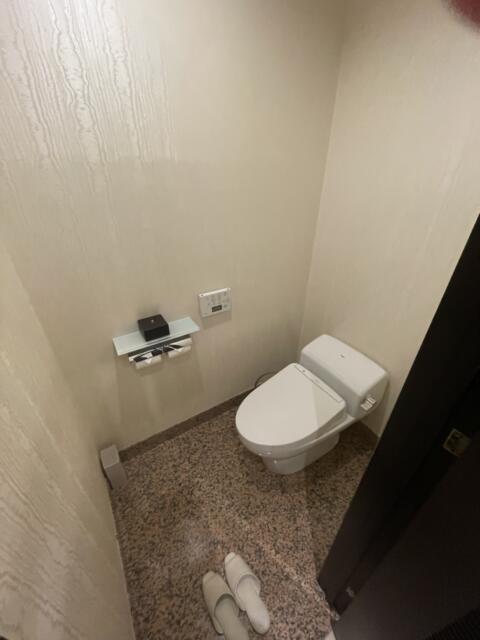 ホテル FORSION(フォーション)(新宿区/ラブホテル)の写真『702号室トイレ』by ぴろりん
