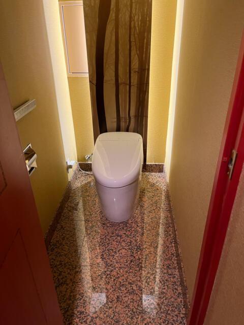 HOTEL SULATA渋谷道玄坂(渋谷区/ラブホテル)の写真『211号室　トイレ』by INA69