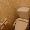 HOTEL Luna Park 豊橋店（ルナパーク)(豊橋市/ラブホテル)の写真『604号室 トイレ』by ないとん