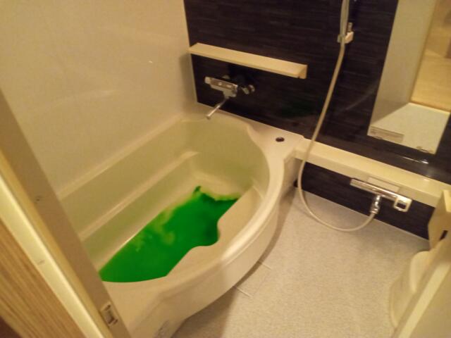 センチュリー(千葉市中央区/ラブホテル)の写真『102号室　浴室　ラグジュアリークラスの浴室です。シングル、ダブルとなるとこれより悪くなります。このクラスから何とか2人で浸かれるかな。緑色は入浴剤。』by K61