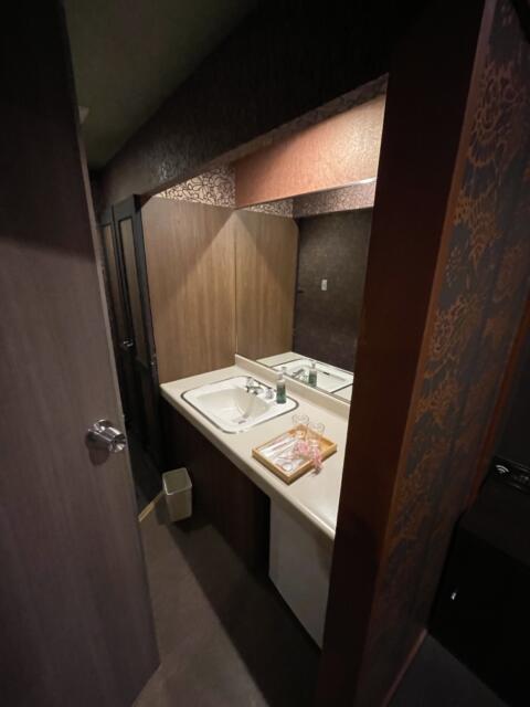 HOTEL Mai Sakura(マイサクラ)(奈良市/ラブホテル)の写真『409号室、洗面所』by ジャーミン