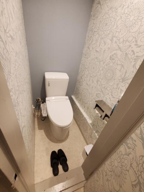 HOTEL GRANDE(川口市/ラブホテル)の写真『201号室　トイレ』by suisui