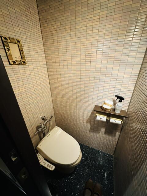 Asian P-Door(アジアンピードア)(台東区/ラブホテル)の写真『303号室トイレ』by miffy.GTI